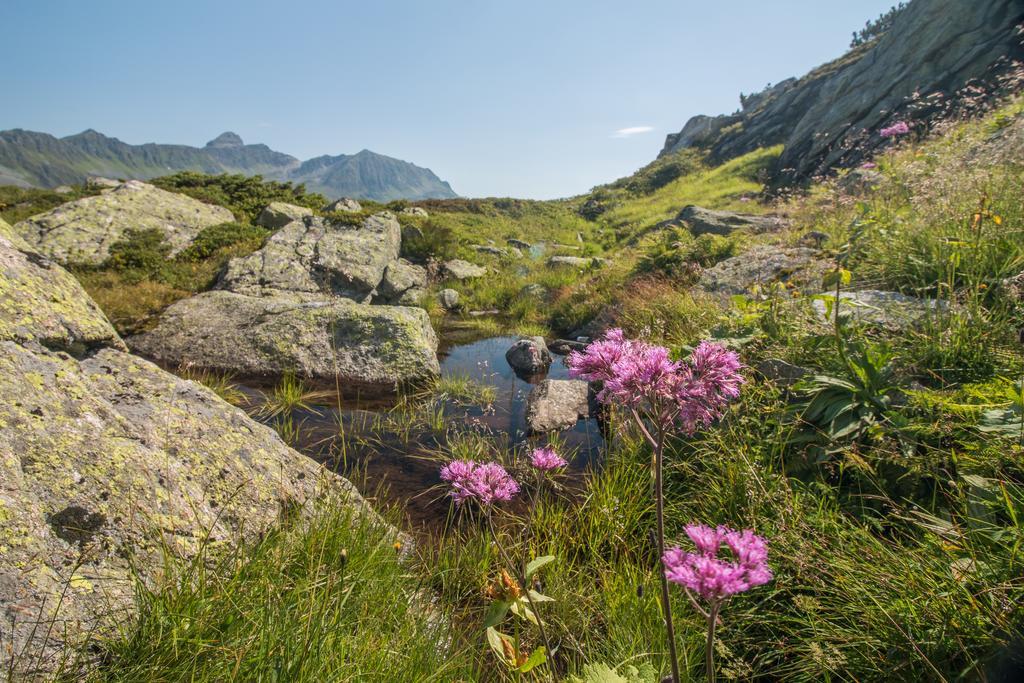 Bradabella - Montafon Hotel 4*